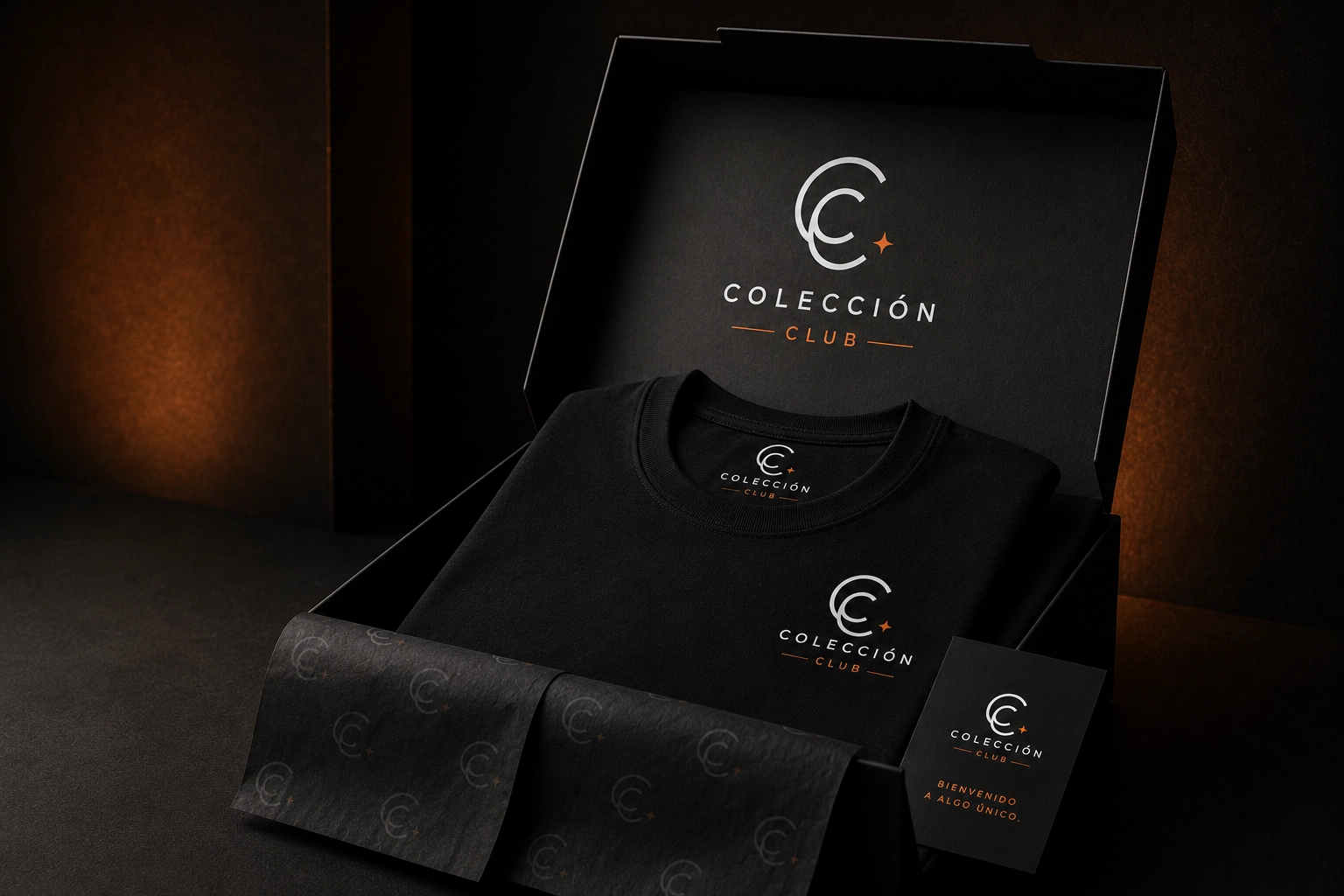 Presentation of collection The beginning never repeats.